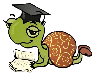 Turtle Sticker